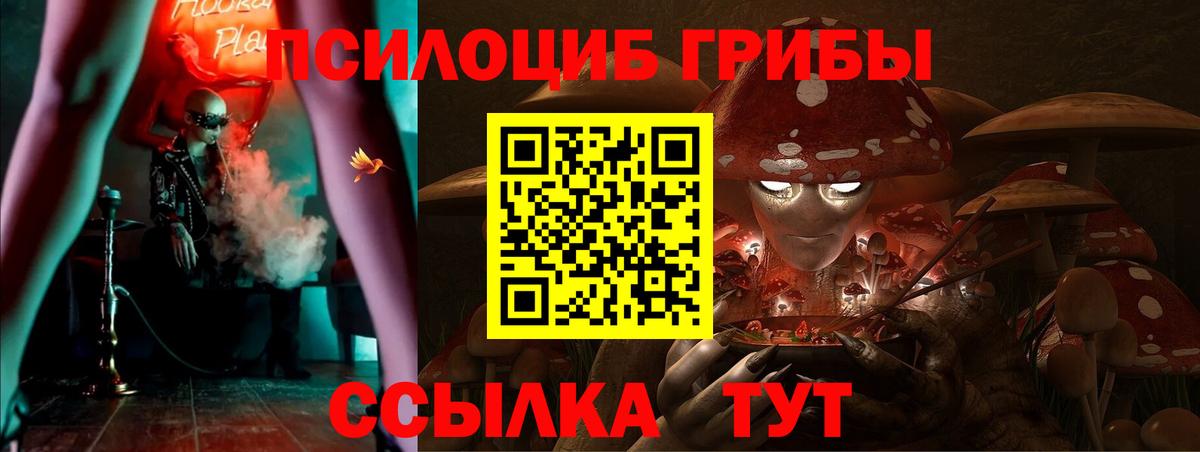 наркота  Галлюциногенные грибы Psilocybe  Вход с VPN  Владивосток  Галлюциногенные грибы прущие грибы 